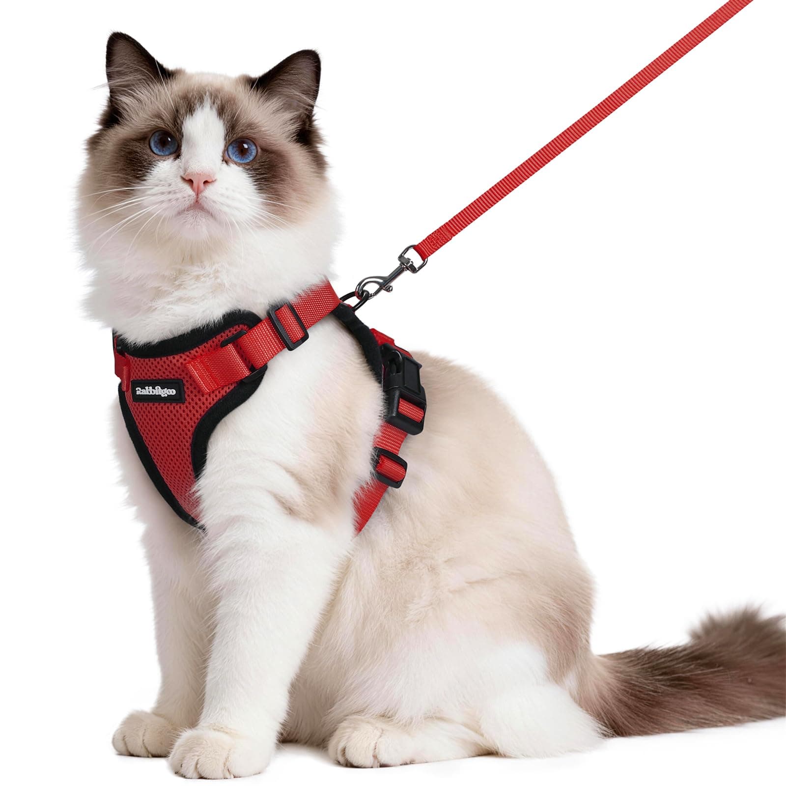 rabbitgoo Harnais Chat Anti évasion avec Laisse Rouge M, Harnais Chaton Petit Chien Réglable, Collier Harnais et Laisses pour Chat Refléchissant Attache Dessus Gilet Respirant pour Lapin Chat Chiot